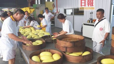 Photo of 甲拋峇底斗母宮從簡 九皇爺誕沒黃麵龜