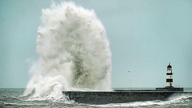 Photo of 強颱“美莎克”吹襲沖繩 超過3.7萬戶停電