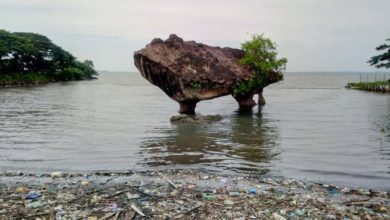 Photo of 沙疫情持續惡化 團結黨不上陣三腳石補選