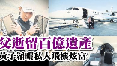Photo of 父逝留百億遺產 黃子韜曬私人飛機炫富