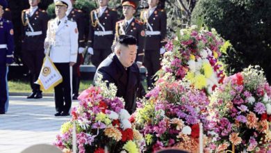 Photo of 紀念抗美援朝70週年 金正恩參謁中國烈士陵園