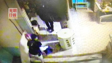 Photo of 大山腳斗母宮遭爆竊  2添油箱捐款被偷