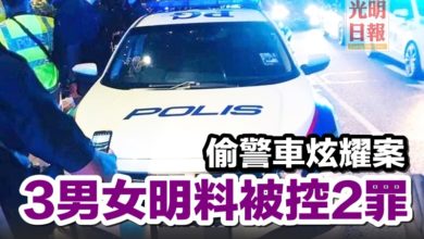 Photo of 偷警車炫耀案    3男女明料被控2罪