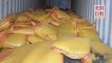 Photo of 當局碼頭檢舉4無證貨櫃  起逾21萬元玉米麵筋粉
