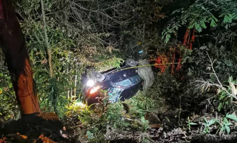 車子墜入3公尺深的山腳下樹林。