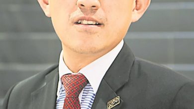Photo of 瑟麗娜 杜雅 最少 12人用滿檳議會書面詢問