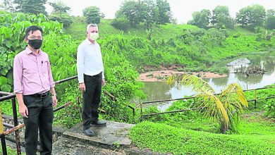 Photo of 飄酸臭味3天 大量魚兒死亡 翠谷山河水疑遭污染