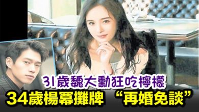 Photo of 31歲魏大勳狂吃檸檬 34歲楊冪攤牌 “再婚免談”