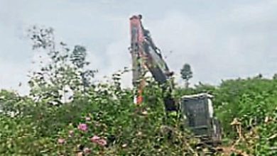 Photo of 神手駕駛員誤鉤蜂巢 馬口又傳群蜂奪命