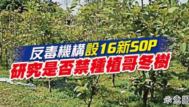 Photo of 反毒機構設16新SOP  研究是否禁種植哥冬樹