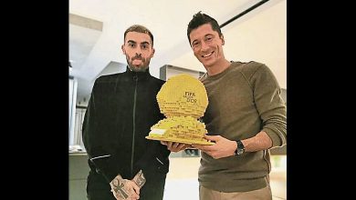 Photo of 積木搭成金球獎 萊萬收到特別禮物