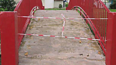 Photo of 青草巷日本花園關2週