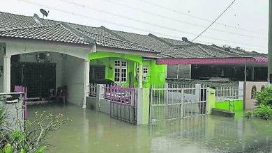 Photo of 持續下數小時大雨 阿曼達邁花園又水災