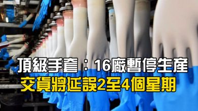 Photo of 頂級手套：16廠暫停生產 交貨將延誤2至4個星期