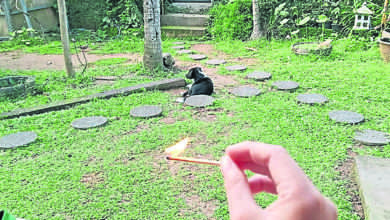 Photo of 【好野人在烏布】卖火柴的小男孩 錯得恰恰好