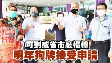Photo of 可到威省市廳櫃檯 明年狗牌接受申請