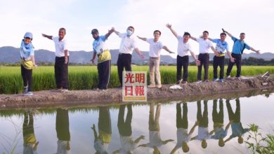Photo of 稻田日落美景迷人  檳首長推薦來浮羅生態遊