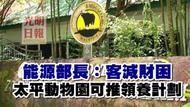 Photo of 能源部長：客減財困 太平動物園可推領養計劃