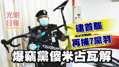 Photo of 逮首腦再捕7黨羽 爆竊黨傻米占瓦解