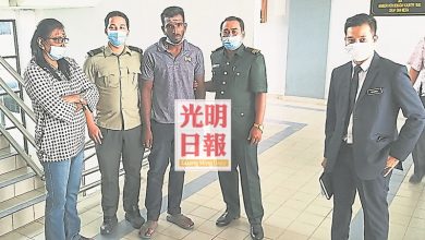 Photo of 沒准證運榴槤樹桐被捉 男子求情判罰千元