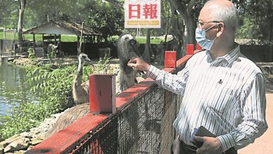 Photo of 歸類主題公園禁復業 飛禽公園再陷零收入