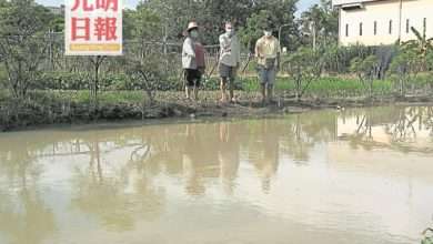 Photo of 雙溪六甲甘榜柏達瑪水患 菜農吁當局速清排水溝