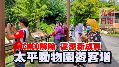 Photo of CMCO解除 還添新成員 太平動物園遊客增
