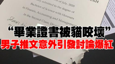 Photo of “畢業證書被貓咬壞”   男子推文意外引發討論爆紅