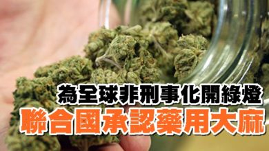 Photo of 為全球非刑事化開綠燈 聯合國承認藥用大麻