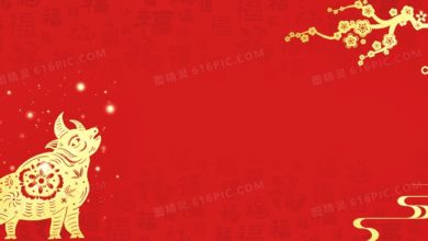 Photo of 防長：過年SOP 新春前一週宣佈