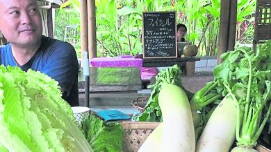 Photo of 【好野人在烏布】Sopa Garden农夫市场