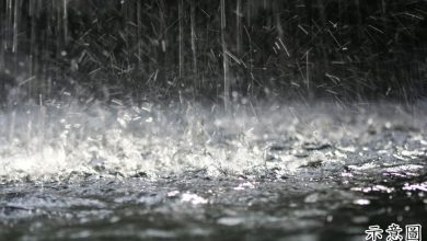 Photo of 氣象局預測 數州將下豪雨至12日