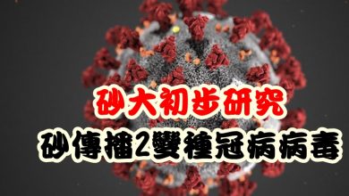 Photo of 砂大初步研究  砂傳播2變種冠病病毒
