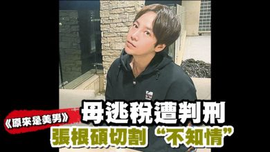 Photo of 母逃税遭判刑《原来是美男》張根碩切割“不知情”