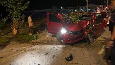 Photo of 疑閃避轎車撞樹　母女拋出車外喪命