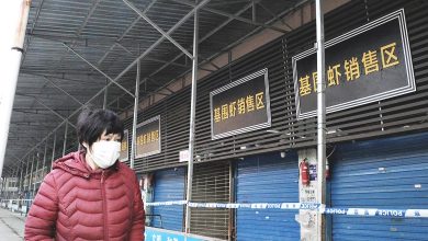 Photo of 世衛專家 週四抵中查冠病源頭