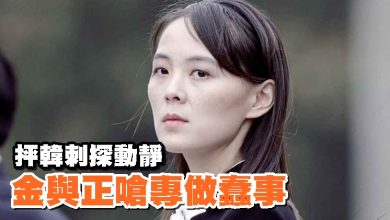 Photo of 抨韓刺探動靜 金與正嗆專做蠢事