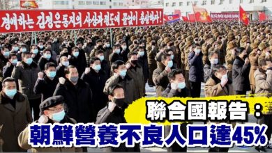 Photo of 聯合國報告：朝鮮營養不良人口達45%