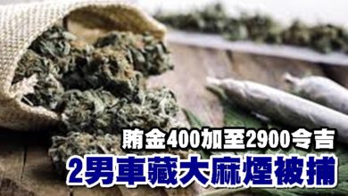Photo of 賄金400加至2900令吉  2男車藏大麻煙被捕