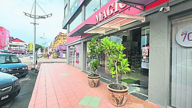 Photo of 芙蓉治安不靖 2賊連環爆竊4店