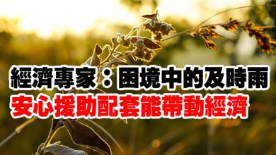 Photo of 經濟專家：困境中的及時雨    安心援助配套能帶動經濟