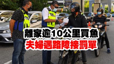 Photo of 離家逾10公里買魚  夫婦遇路障接罰單