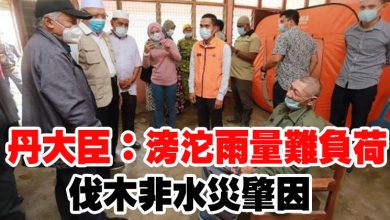 Photo of 丹大臣：滂沱雨量難負荷   伐木非水災肇因