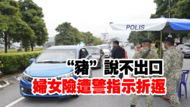 Photo of “豬”說不出口 婦女險遭警指示折返