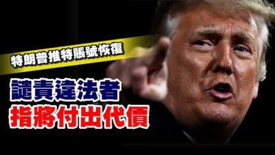 Photo of 特朗普推特賬號恢復 譴責違法者 指將付出代價