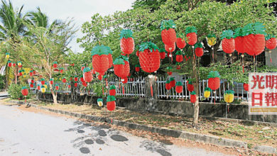 Photo of 院子掛滿黃梨燈籠 退休人裝飾住家添喜氣