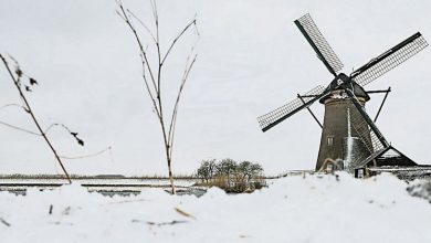 Photo of 荷蘭10年來首遇暴風雪