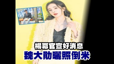 Photo of 楊冪官宣好消息 魏大勛曬照倒米