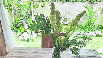 Photo of 【好野人在烏布】暖屋庆生再整骨