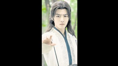 Photo of 獲官媒表揚 肖战《鬥羅大陸》片頭被指抄襲遊戲CG